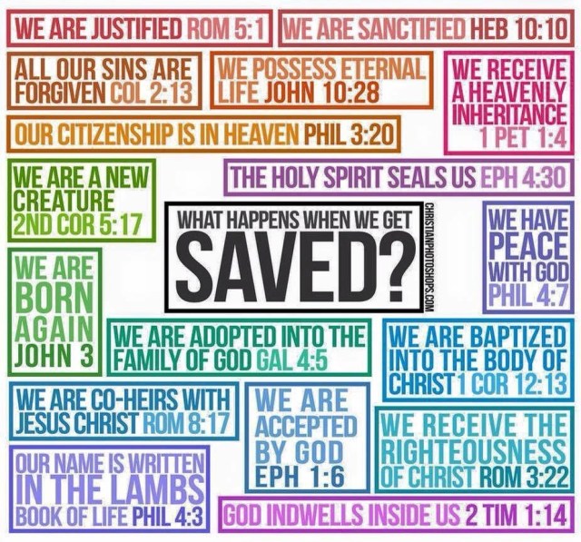 Old Or New Creature Cover